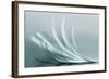 Browse-Jutta Kerber-Framed Photographic Print