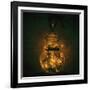 Browsespan-Fabio Panichi-Framed Photographic Print