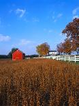 Red Barn in Green Field-Bruce Burkhardt-Photographic Print