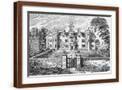 Brown Frame