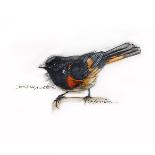 MOCKINGBIRD-BRUCE DEAN-Art Print