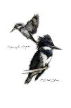 BELTED KINGFISHER-BRUCE DEAN-Framed Art Print