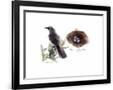 Gramercy Black