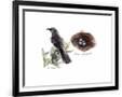 Gramercy Black