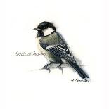 JUNCO #2-BRUCE DEAN-Art Print