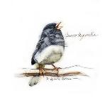 JUNCO #2-BRUCE DEAN-Art Print