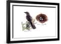 Gramercy Black