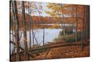 Stretched Canvas