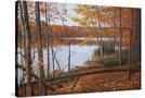 Stretched Canvas