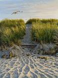 Buxton Sand Dunes-Bruce Dumas-Giclee Print