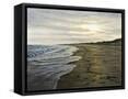 Framed Canvas