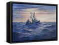 Framed Canvas