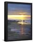 Essential Black