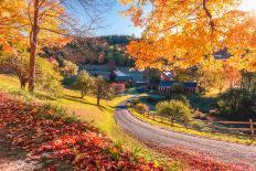 Roadside Reflection-Bruce Getty-Loft Art