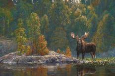 Zone 2 Whitetails-Bruce Miller-Giclee Print