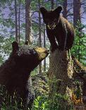 Black Wolf-Bruce Miller-Giclee Print