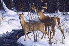 Zone 2 Whitetails-Bruce Miller-Giclee Print