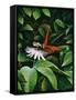 Canvas Black