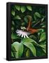 Essential Black