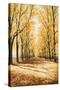 Stretched Canvas