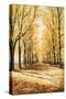 Stretched Canvas