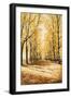 Black Frame