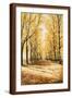 Brown Frame