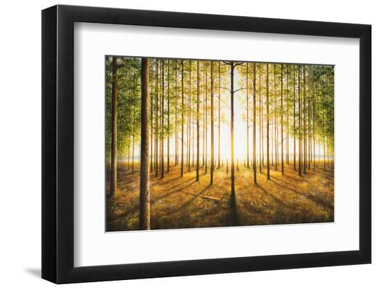 Premium Photographic Print, , large