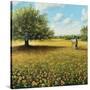 Stretched Canvas