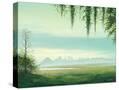 Stretched Canvas