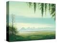 Stretched Canvas