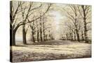 Stretched Canvas