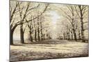 Wood Mount
