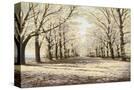 Stretched Canvas