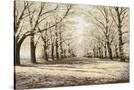 Stretched Canvas