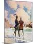 Bruce on the Beach-Newell Convers Wyeth-Mounted Giclee Print