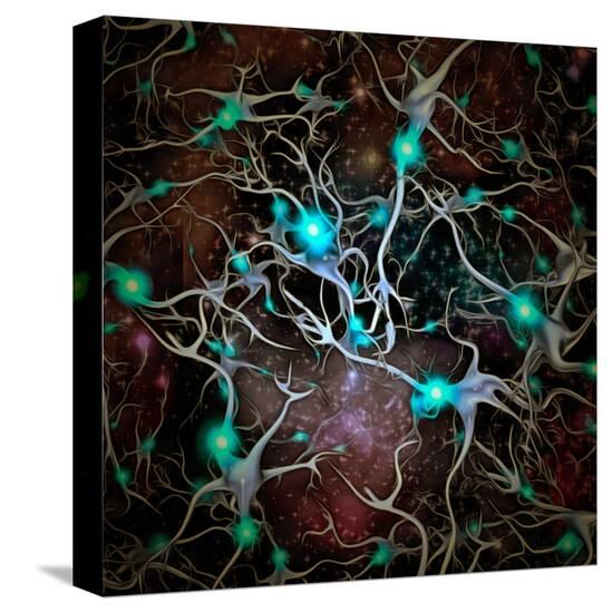 Stretched Canvas Print, , large