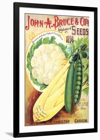 Bruce Seeds Hamilton Canada-null-Framed Premium Giclee Print