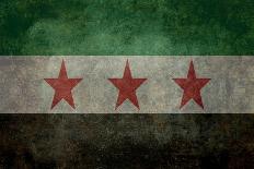 Syrian Interim Government And Syrian National Coalition'S National Flag-Bruce stanfield-Framed Art Print