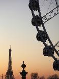 Tour Boat in River Seine with Pont Neuf and Eiffel Tower in the Background, Paris, France-Bruce Yuanyue Bi-Photographic Print