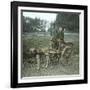 Bruges (Belgium), Dog Harness-Leon, Levy et Fils-Framed Photographic Print