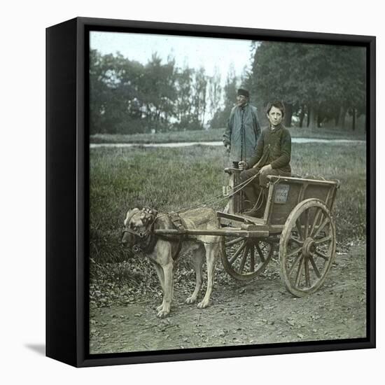 Bruges (Belgium), Dog Harness-Leon, Levy et Fils-Framed Stretched Canvas