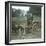 Bruges (Belgium), Dog Harness-Leon, Levy et Fils-Framed Photographic Print