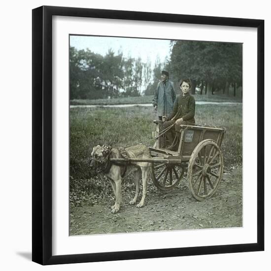 Bruges (Belgium), Dog Harness-Leon, Levy et Fils-Framed Photographic Print