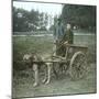 Bruges (Belgium), Dog Harness-Leon, Levy et Fils-Mounted Photographic Print