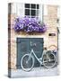 Brugge Door and Bicycle-George Johnson-Stretched Canvas