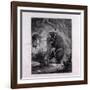 Bruin as Messenger-null-Framed Giclee Print