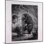 Bruin as Messenger-null-Mounted Giclee Print