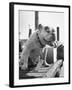 Bruiser Sitting on a Baggage Truck at the Station-Francis Miller-Framed Photographic Print