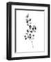 Brume Botanical III-Emma Scarvey-Framed Art Print